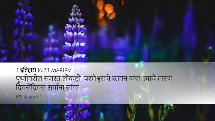 1 इतिहास 16:23 MARIRV Desktop Wallpaper - पृथ्वीवरील समस्त - Desktop Bible Verse Wallpaper
