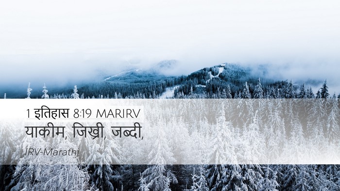 1 इतिहास 8:19 MARIRV Desktop Wallpaper - याकीम, जिख्री, - Desktop Bible Verse Wallpaper
