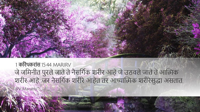 1 करिंथकरांस 15:44 MARIRV Bible Verse Image