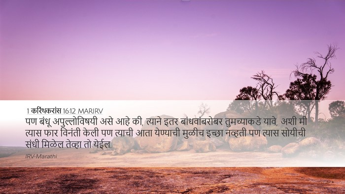 1 करिंथकरांस 16:12 MARIRV Bible Verse Image