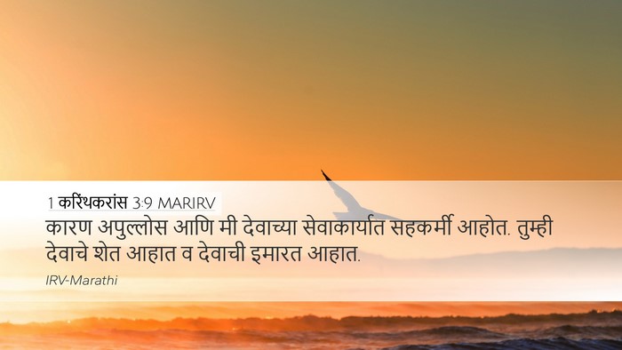 1 करिंथकरांस 3:9 MARIRV Bible Verse Image