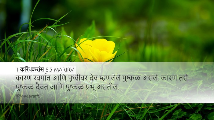 1 करिंथकरांस 8:5 MARIRV Bible Verse Image