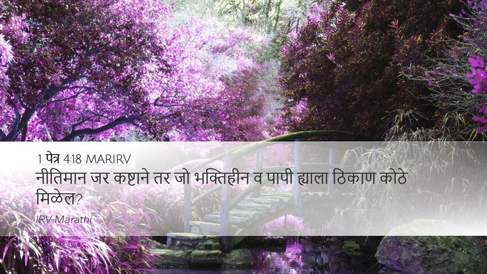 1 पेत्र 4:18 MARIRV Desktop Wallpaper - नीतिमान जर - Desktop Bible Verse Wallpaper