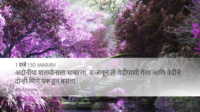1 राजे 1:50 MARIRV Bible Verse Image