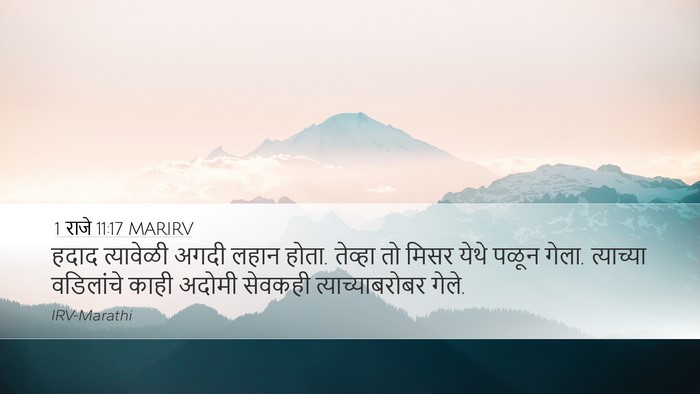 1 राजे 11:17 MARIRV Desktop Wallpaper - हदाद त्यावेळी - Desktop Bible Verse Wallpaper