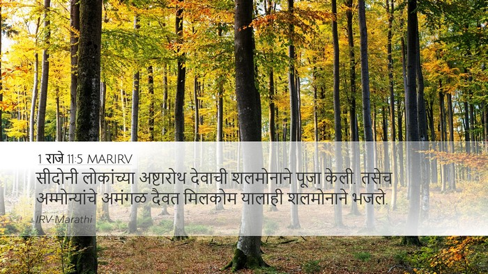 1 राजे 11:5 MARIRV Bible Verse Image