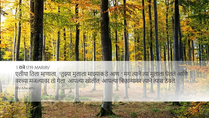 1 राजे 17:19 MARIRV Bible Verse Image