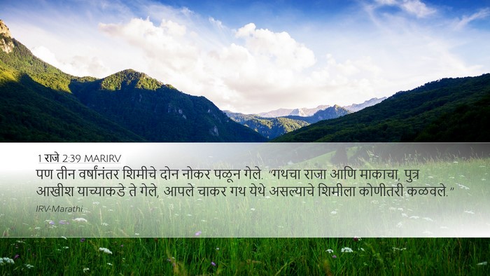 1 राजे 2:39 MARIRV Bible Verse Image