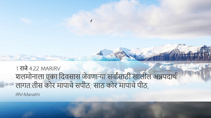1 राजे 4:22 MARIRV Bible Verse Image