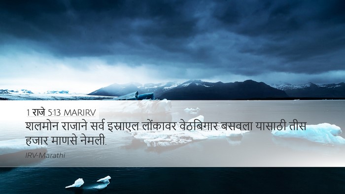 1 राजे 5:13 MARIRV Bible Verse Image