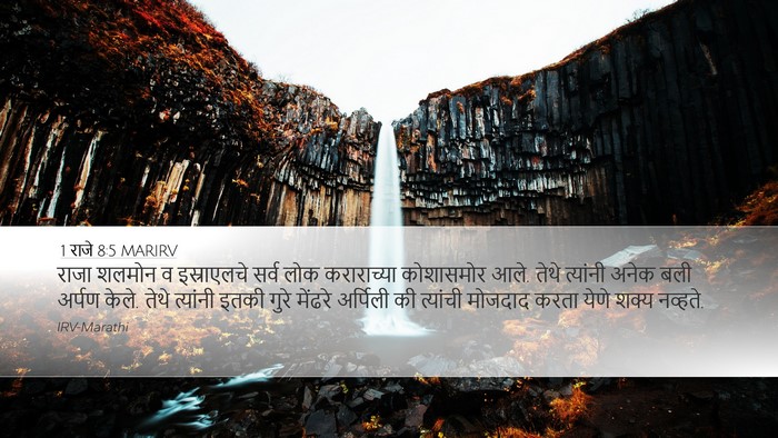 1 राजे 8:5 MARIRV Bible Verse Image