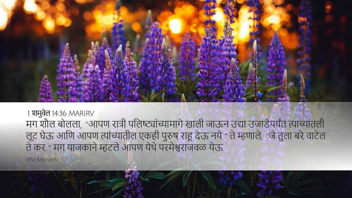 1 शमुवेल 14:36 MARIRV Bible Verse Image