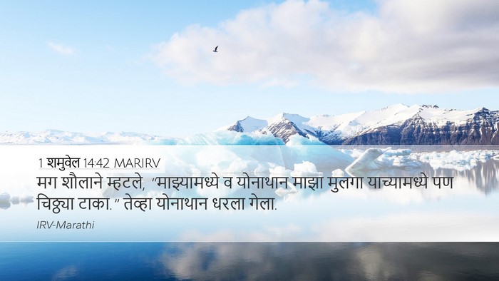 1 शमुवेल 14:42 MARIRV Bible Verse Image