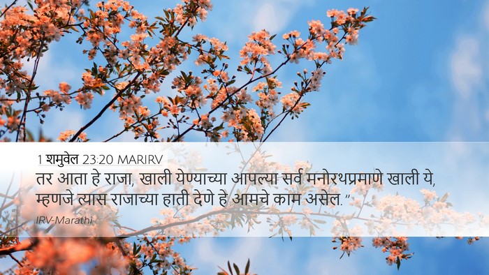 1 शमुवेल 23:20 MARIRV Bible Verse Image