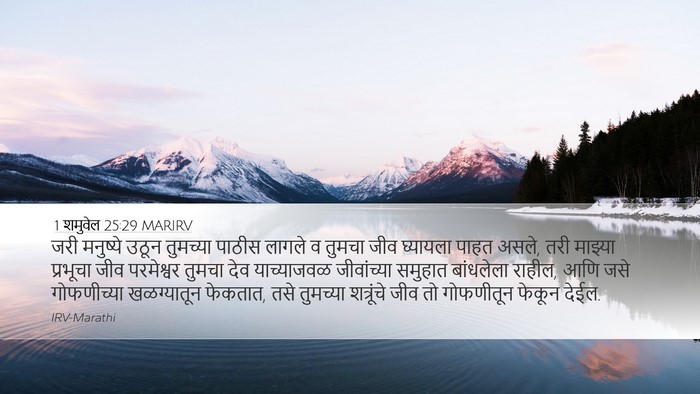 1 शमुवेल 25:29 MARIRV Bible Verse Image