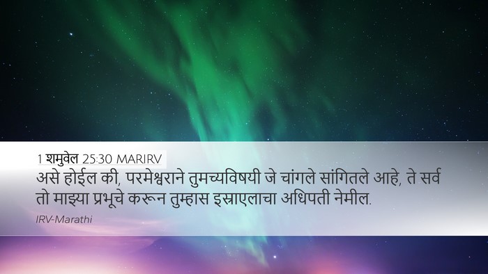1 शमुवेल 25:30 MARIRV Bible Verse Image