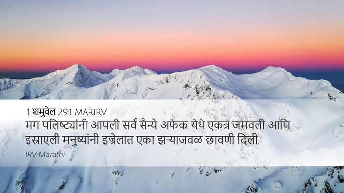 1 शमुवेल 29:1 MARIRV Bible Verse Image