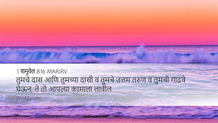 1 शमुवेल 8:16 MARIRV Desktop Wallpaper - तुमचे दास आणि - Desktop Bible Verse Wallpaper