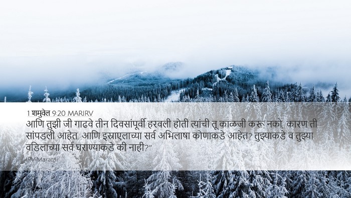 1 शमुवेल 9:20 MARIRV Desktop Wallpaper - आणि तुझी जी गाढवे - Desktop Bible Verse Wallpaper