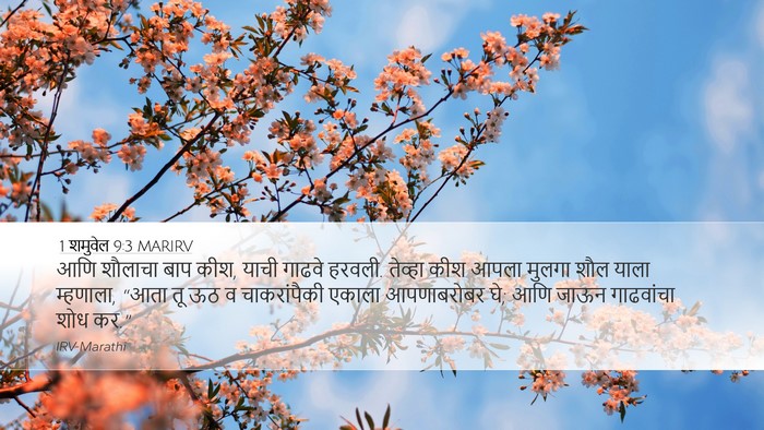 1 शमुवेल 9:3 MARIRV Desktop Wallpaper - आणि शौलाचा बाप कीश, - Desktop Bible Verse Wallpaper