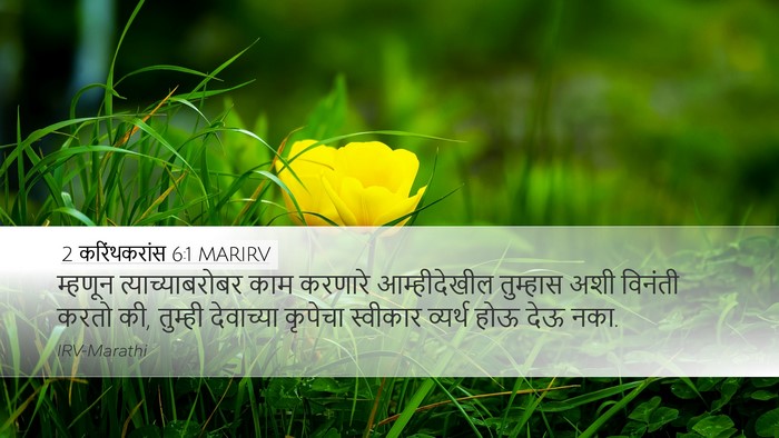 2 करिंथकरांस 6:1 MARIRV Bible Verse Image