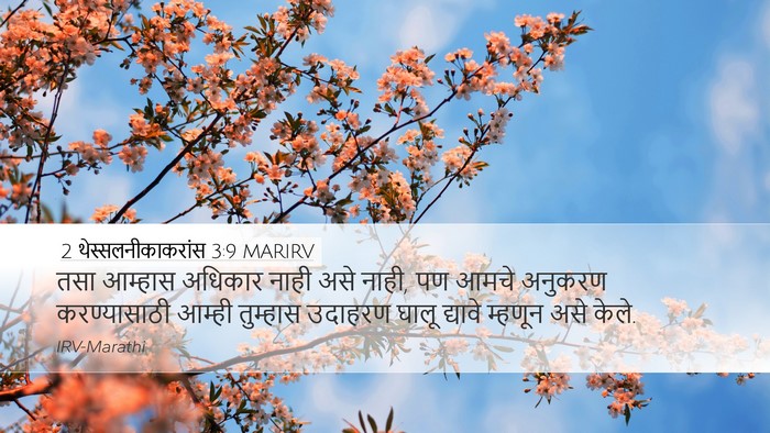 2 थेस्सलनीकाकरांस 3:9 MARIRV Bible Verse Image
