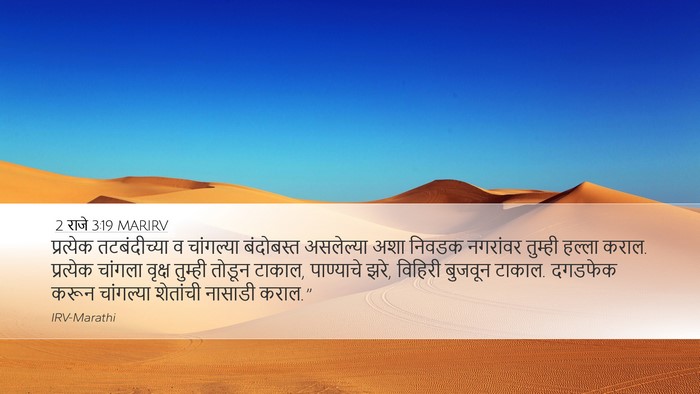 2 राजे 3:19 MARIRV Desktop Wallpaper - प्रत्येक - Desktop Bible Verse Wallpaper