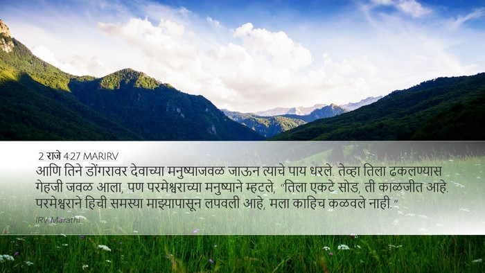 2 राजे 4:27 MARIRV Bible Verse Image