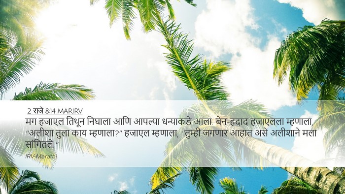 2 राजे 8:14 MARIRV Bible Verse Image