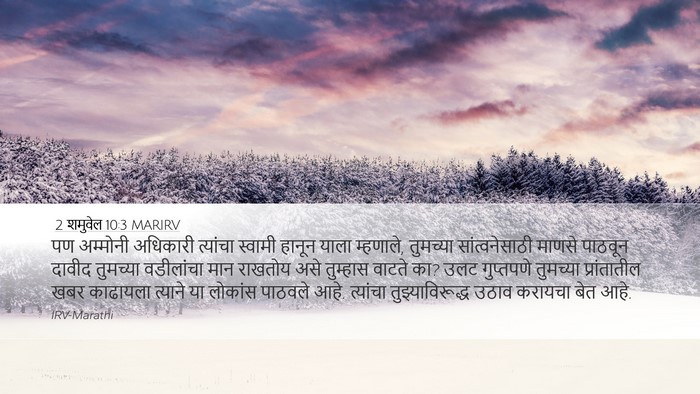 2 शमुवेल 10:3 MARIRV Bible Verse Image