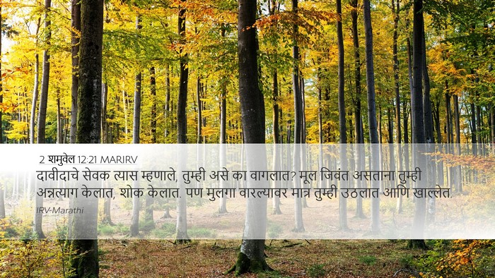 2 शमुवेल 12:21 MARIRV Bible Verse Image