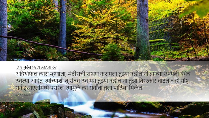 2 शमुवेल 16:21 MARIRV Bible Verse Image