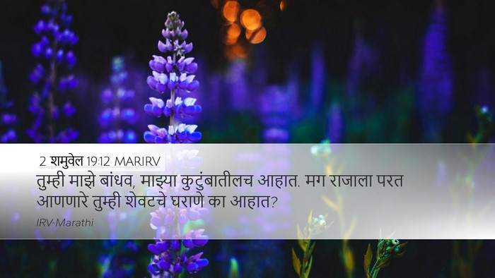2 शमुवेल 19:12 MARIRV Desktop Wallpaper - तुम्ही माझे बांधव, - Desktop Bible Verse Wallpaper