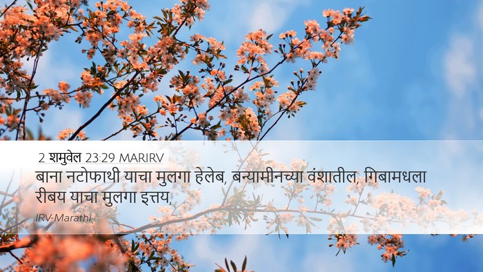 2 शमुवेल 23:29 MARIRV Desktop Wallpaper - बाना नटोफाथी याचा - Desktop Bible Verse Wallpaper
