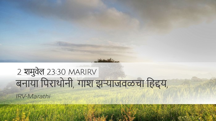 2 शमुवेल 23:30 MARIRV Bible Verse Image