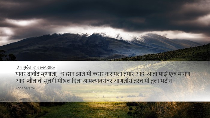 2 शमुवेल 3:13 MARIRV Desktop Wallpaper - यावर दावीद - Desktop Bible Verse Wallpaper