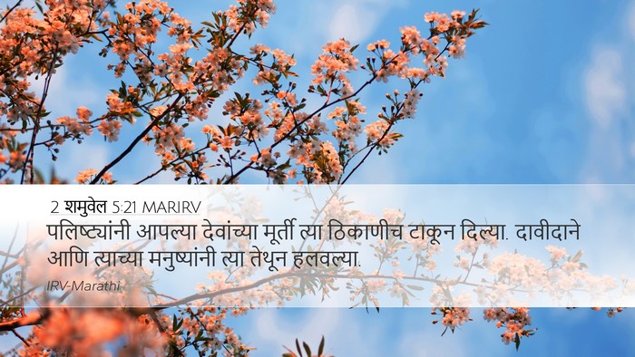 2 शमुवेल 5:21 MARIRV Desktop Wallpaper - पलिष्ट्यांनी - Desktop Bible Verse Wallpaper
