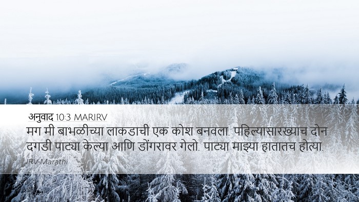 अनुवाद 10:3 MARIRV Bible Verse Image