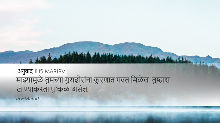 अनुवाद 11:15 MARIRV Bible Verse Image