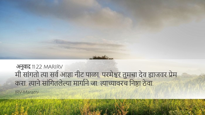 अनुवाद 11:22 MARIRV Bible Verse Image