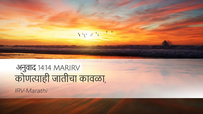 अनुवाद 14:14 MARIRV Desktop Wallpaper - कोणत्याही जातीचा - Desktop Bible Verse Wallpaper