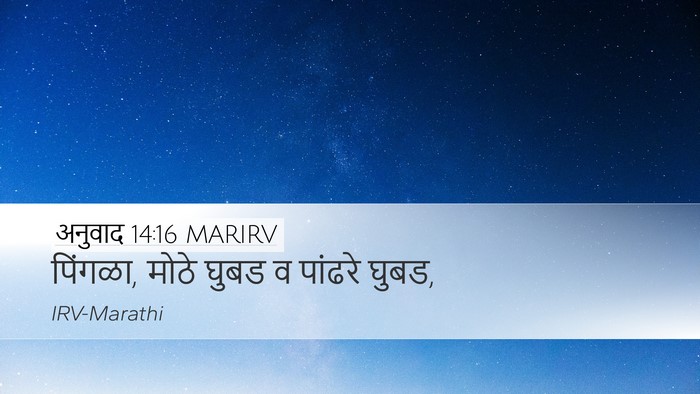अनुवाद 14:16 MARIRV Desktop Wallpaper - पिंगळा, मोठे घुबड व - Desktop Bible Verse Wallpaper