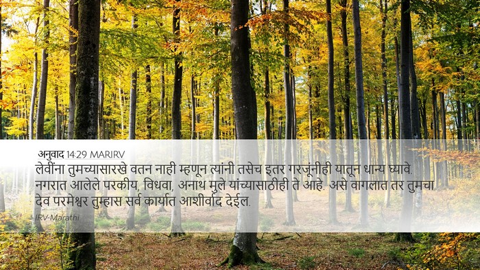 अनुवाद 14:29 MARIRV Bible Verse Image