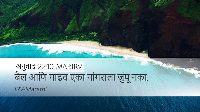 अनुवाद 22:10 MARIRV Desktop Wallpaper - बैल आणि गाढव एका - Desktop Bible Verse Wallpaper