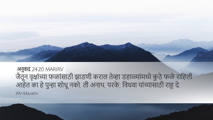 अनुवाद 24:20 MARIRV Desktop Wallpaper - जैतून वृक्षांच्या - Desktop Bible Verse Wallpaper