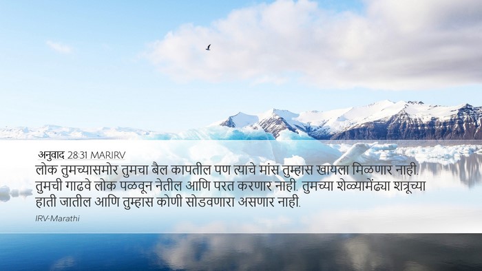 अनुवाद 28:31 MARIRV Bible Verse Image