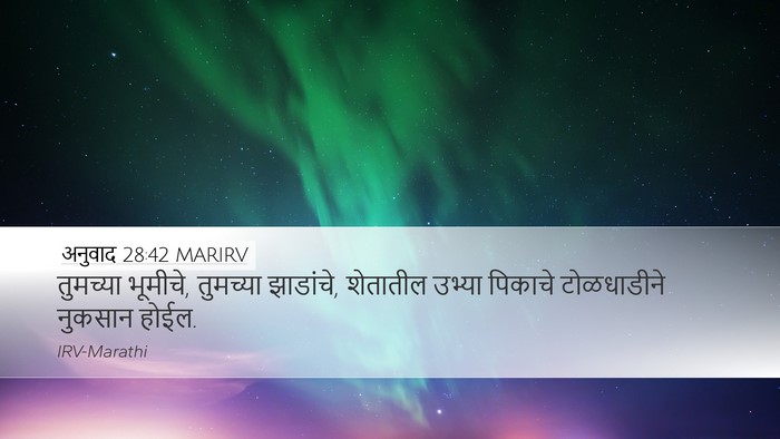 अनुवाद 28:42 MARIRV Bible Verse Image
