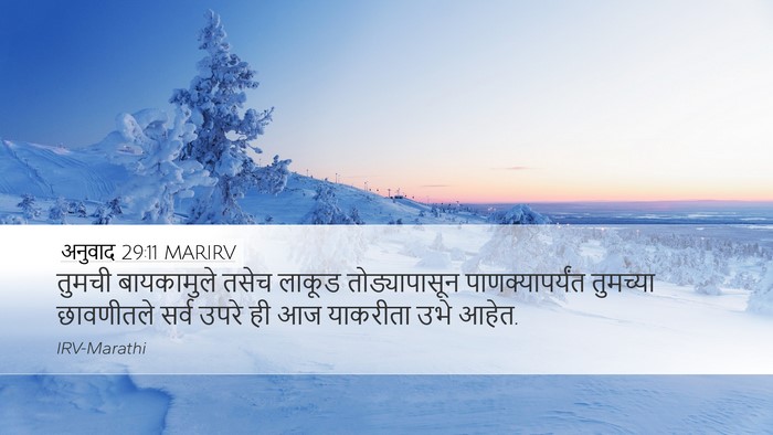 अनुवाद 29:11 MARIRV Bible Verse Image