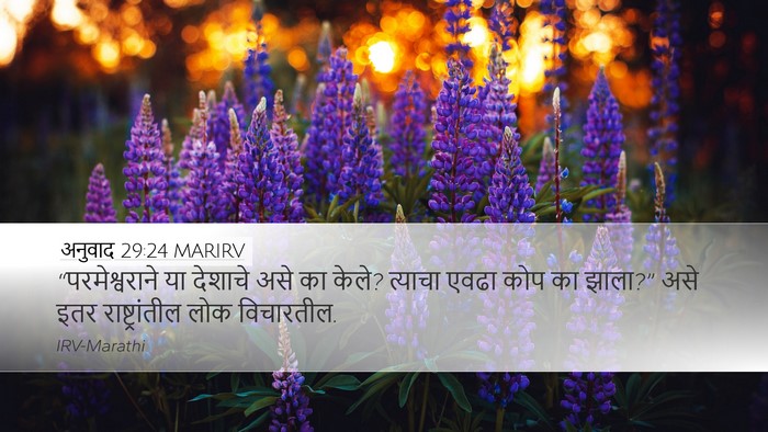 अनुवाद 29:24 MARIRV Bible Verse Image