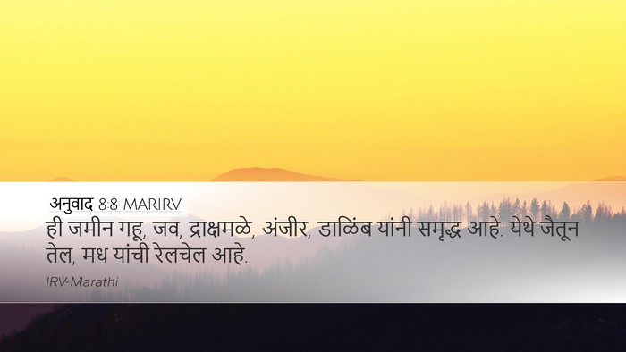 अनुवाद 8:8 MARIRV Desktop Wallpaper - ही जमीन गहू, जव, - Desktop Bible Verse Wallpaper